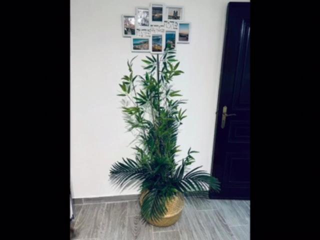 Casinha Da Palmeira نازاريه المظهر الخارجي الصورة